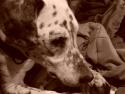 Drum III- Concurso fotografico